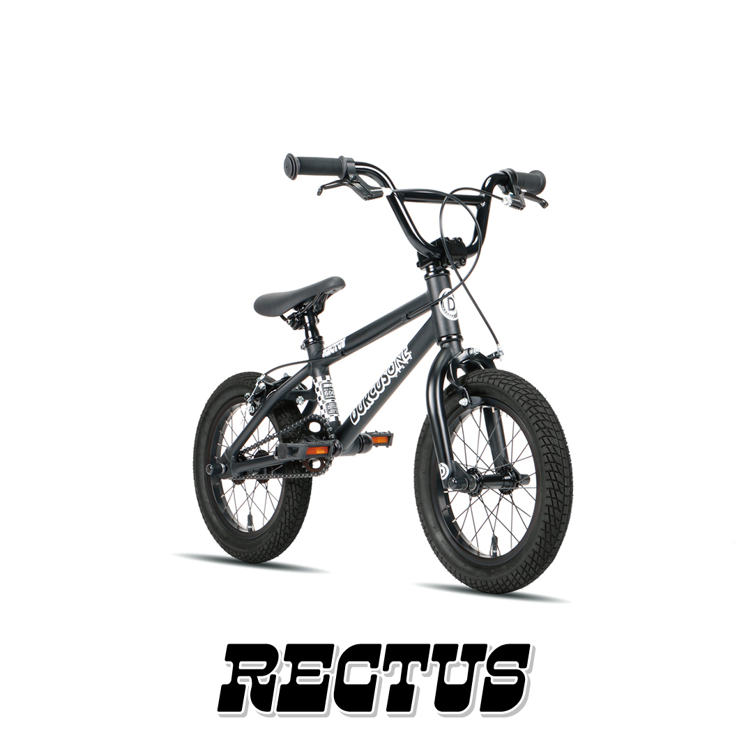 ダーカスワン RECTUS 14インチ BMX - 自転車本体